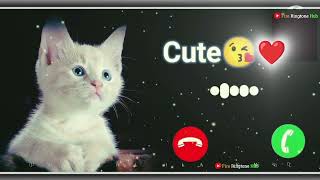 cute baby ringtone new notification tone message ringtone SMS tone Love Ringtone download Now [upl. by Eaned]