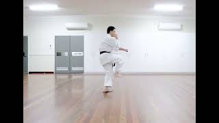 SANSERU KATA GOJU RYU KARATE by Davy Wijaya Sensei [upl. by Ellersick]