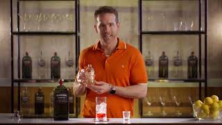 Ryan Reynolds Deadpool amp Wolverine Aviation Gin Promo [upl. by Llerraj]