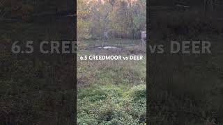 65 CREEDMOOR vs DEER [upl. by Maren]