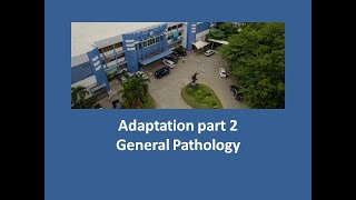 Patho lab adaptation part 2 [upl. by Tudela]