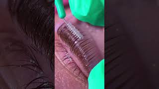 EYELASH MAKEUP TUTORIAL WITH MASKARA  shortsfeed shorts eyelash eyelashshorts viral trend [upl. by Pritchett367]