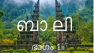 BALI vlog in Malayalam Bali Malayalam vlog Ubud Bali Rice terrace Beratan Temple Banyamulla [upl. by Anirual]