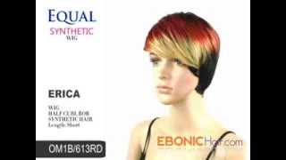 Freetress Equal Synthetic Hair Wig Erica by EbonicHaircom [upl. by Erdnassak]