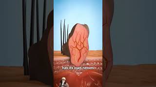 doctor satisfying animation science extraction anatomy funny 3dprinting ad [upl. by Reiner]