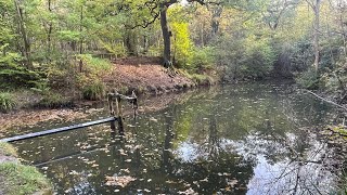 Walk from guisborough past Blue lake up to the Moors [upl. by Akihsan]