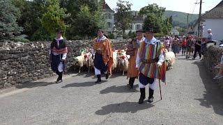 PASTORALE DE SAUGUIS 2015  messe et défilé [upl. by Assinna]