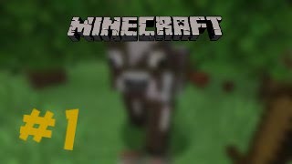 Minecraft Put do Bajrona  Epizoda 1  Avantura [upl. by Litch84]