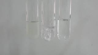 Chlorine and potassium bromide [upl. by Whitby]