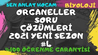 ORGANELLER SORU ÇÖZÜMLERİ  4   kesin anlayacaksın anlamazsan abone olma  2021✅ [upl. by Alfonse]