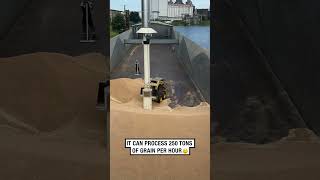 Discharging grain from a cargo ship is strangely satisfying 🤣🤩  🎥 irisdijs [upl. by Scuram]