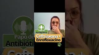 🐾🚨 Associação de Ceftriaxona  Enrofloxacina não é adequada para a maioria dos casos mas [upl. by Blain580]