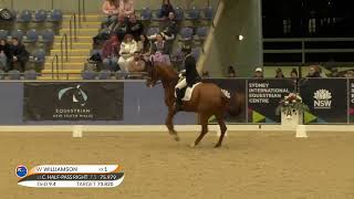 Wendi Williamson  Don Vito MH  winner of the CDI 3 Grand Prix Freestyle [upl. by Edaw]