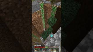 Granja de madera Minecraft Bedrock shorts minecraftshorts minecraft gaming minecraftgranja [upl. by Ahseetal]