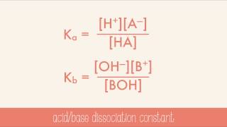 Strength of Acids and Bases [upl. by Suivatnom]