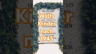 Deutsche Wolfskinder – Verloren nach dem Krieg historyfacts geschichte erklärvideo shorts ww2 [upl. by Freberg]