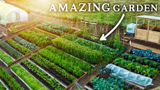 Spectacular NO DIG Garden Growing Food Abundance on a Hill [upl. by Nahtnamas640]