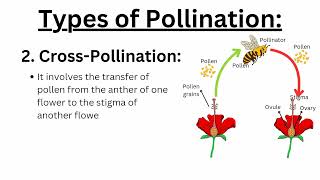 🤯 Types of pollination shorts facts pollinations pollinators pollen viral youtubeshorts [upl. by Lorain487]