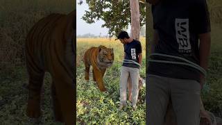 Sher ne le li jan 👹🙏🐍 shorts comedy emotional comedyvideos funny shortvideos [upl. by Hyacinthia]