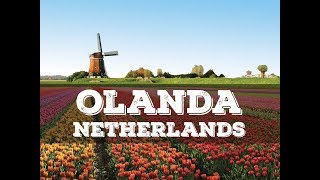 Top 10 cosa vedere in Olanda  Top 10 what to do in Netherlands [upl. by Ikkaj]