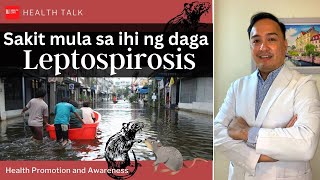 Sakit mula sa ihi ng daga Leptospirosis [upl. by Hoffert]