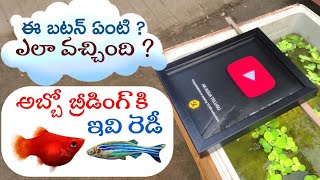 BALLOON PLATY amp ZEBRA BREEDING SIZE FISHS  SaiKrishnaTechy play botton review  AK AQUA TELUGU [upl. by Darum]