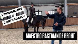 DE BESTE TIPS VOOR CONTRAGALOP VAN BASTIAAN DE RECHT [upl. by Aikahc]