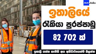 Italy Job Vacancies for Sri Lankans 2023  Jobs in Italy 2023 [upl. by Annoled]