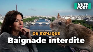 Anne Hidalgo devraitelle faire attention à la quotmaladie du ratquot avant de se baigner dans la Seine [upl. by Ayirp]