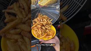 Super Cheesy Fries Making In Just Rs100 Only At Shree Pandit Ji Foods Mall Road Kanpur  shorts [upl. by Obala]