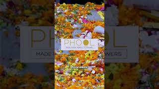 Turning Floral Waste into Sustainable Products 🌸  Phoolco Innovation [upl. by Azaleah]