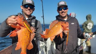 Rockfish CANT Resist Slow Pitch Jigs in San Diego  Offshore Jigging  JohnnyJigs [upl. by Odine467]