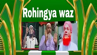 rohingya new waz [upl. by Paine]