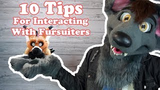 10 Tips for Interacting with Fursuiters [upl. by Singer]