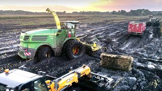 FORAGE HARVESTER in the MUD  2020 Corn Silage in France  Short History [upl. by Hcahsem]