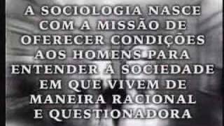 O que é sociologia [upl. by Anaela]