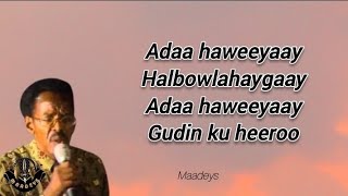 HEES  Adaa Haweeyaay  Maxamed Suleebaan Tubeec  Kaban  lyrics [upl. by Akcirahs891]