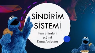 Sindirim Sistemi 1  Fen Bilimleri 6Sınıf Konu Anlatımı [upl. by Nomyaw]