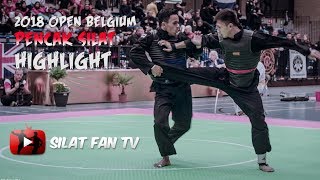 2018 OPEN BELGIUM PENCAK SILAT HIGHLIGHT [upl. by Ayekan]