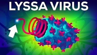 The Deadliest Virus on Earth [upl. by Hayila]