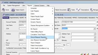 Meaningful Use Core Measure  10 Clinical Measures [upl. by Phelan]