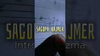 Sagopa Kajmer  Intromantizma [upl. by Desdamonna]