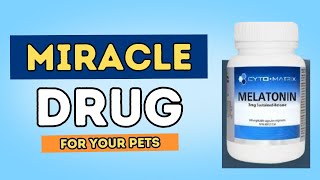 Uncover 7 New Benefits of Melatonin for Pets [upl. by Yekciv]