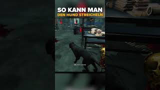 So streichelt ihr den Hund in Dead by Daylight [upl. by Cheyney]