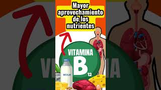 Vitamina OBLIGATORIA para Reparar Nervios Dañados consejosparaunavidasaludable vitaminab12 [upl. by Annad]