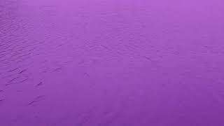 Purple water Background [upl. by Sima]