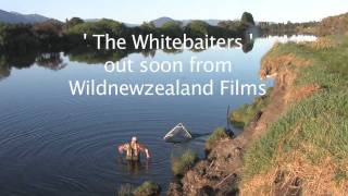 The Whitebaiters  Wildnewzealand Films [upl. by Eiduj286]