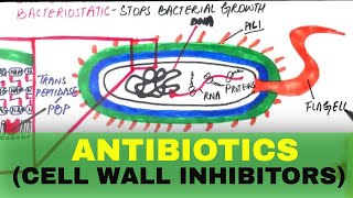 Pharmacology 6 ANTIBIOTICS  Cell Wall Inhibitors [upl. by Ambert]