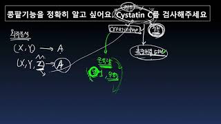 콩팥기능을 정확히 알고 싶어요  cystatin C를 검사해 주세요 [upl. by Reinaldos]