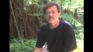 Terence Mckenna  Novelty Theory explained in seven minutes [upl. by Hanikas]